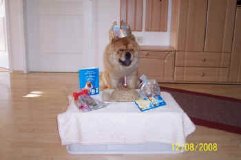 c_geburtstag1_bild1.jpg (61226 Byte)