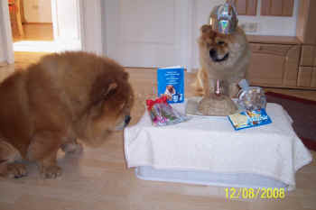 c_geburtstag1_bild2.jpg (63099 Byte)