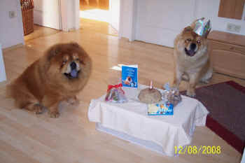 c_geburtstag1_bild3.jpg (66371 Byte)