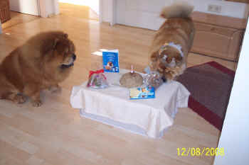 c_geburtstag1_bild4.jpg (63387 Byte)