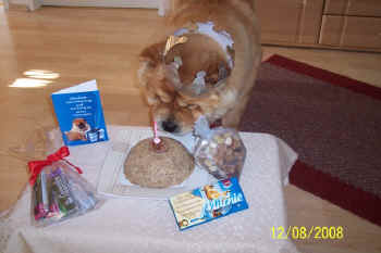 c_geburtstag1_bild5.jpg (80087 Byte)