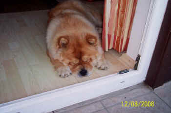 c_geburtstag1_bild6.jpg (64124 Byte)