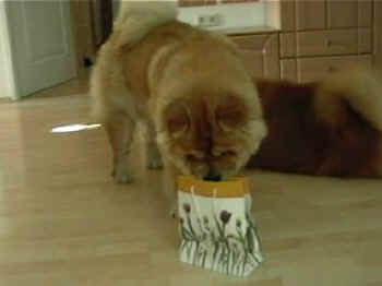 c_geburtstag1_bild7.jpg (18492 Byte)