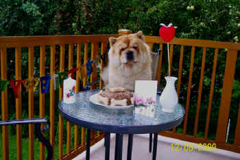 c_geburtstag2_bild1.jpg (113665 Byte)