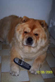 c_geburtstag2_bild2.jpg (71080 Byte)