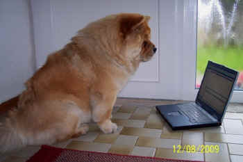 c_geburtstag2_bild3.jpg (65279 Byte)