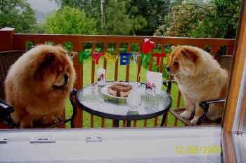 c_geburtstag2_bild4.jpg (98443 Byte)