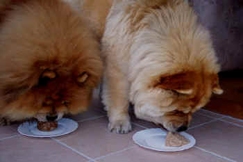 c_geburtstag2_bild5.jpg (69509 Byte)