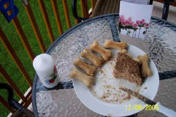 c_geburtstag2_bild6.jpg (99149 Byte)