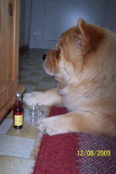 c_geburtstag2_bild7.jpg (67626 Byte)