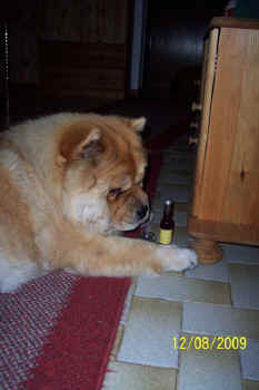 c_geburtstag2_bild8.jpg (73555 Byte)