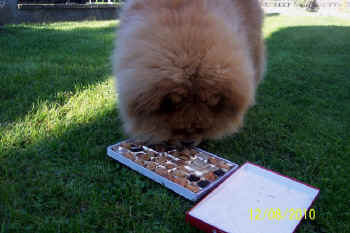 c_geburtstag3_bild10.jpg (100202 Byte)