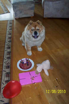 c_geburtstag3_bild2.jpg (75152 Byte)