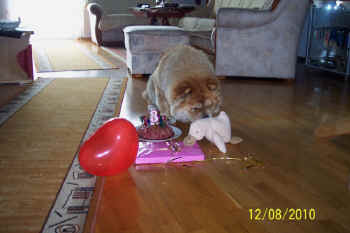 c_geburtstag3_bild3.jpg (71987 Byte)