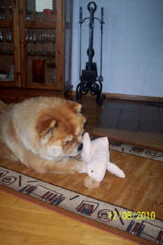 c_geburtstag3_bild4.jpg (74935 Byte)