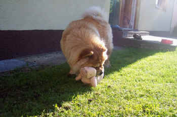 c_geburtstag3_bild5.jpg (104924 Byte)