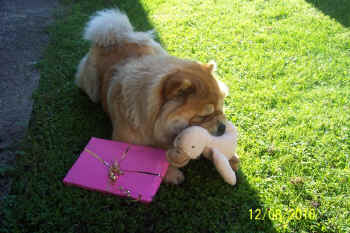 c_geburtstag3_bild6.jpg (127081 Byte)