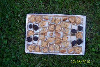 c_geburtstag3_bild8.jpg (144459 Byte)