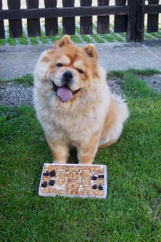 c_geburtstag3_bild9.jpg (793282 Byte)