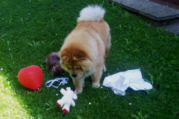 c_geburtstag4_bild10.jpg (123159 Byte)