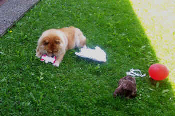 c_geburtstag4_bild11.jpg (143905 Byte)