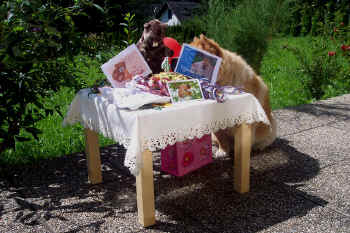 c_geburtstag4_bild1.jpg (148060 Byte)