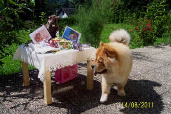 c_geburtstag4_bild2.jpg (150253 Byte)