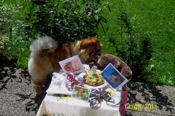 c_geburtstag4_bild3.jpg (161258 Byte)