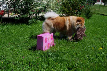 c_geburtstag4_bild4.jpg (164783 Byte)