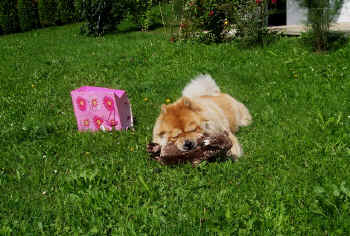 c_geburtstag4_bild5.jpg (166383 Byte)