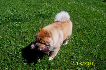 c_geburtstag4_bild6.jpg (160671 Byte)