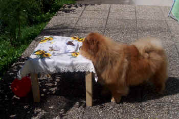 c_geburtstag4_bild8.jpg (124409 Byte)