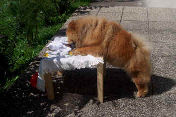 c_geburtstag4_bild9.jpg (126511 Byte)