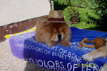 c_geburtstag5_bild10.jpg (126106 Byte)