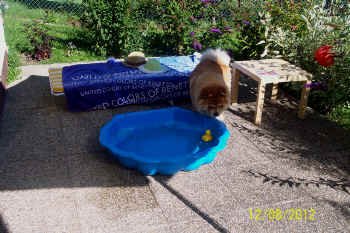 c_geburtstag5_bild11.jpg (152164 Byte)