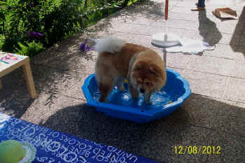 c_geburtstag5_bild12.jpg (141955 Byte)