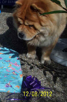 c_geburtstag5_bild13.jpg (115848 Byte)