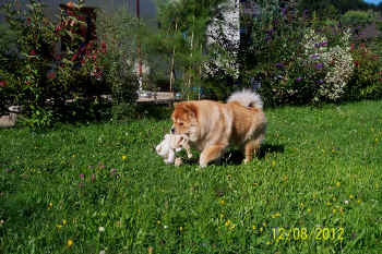 c_geburtstag5_bild14.jpg (171275 Byte)