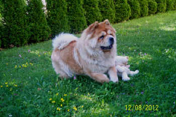 c_geburtstag5_bild15.jpg (136844 Byte)