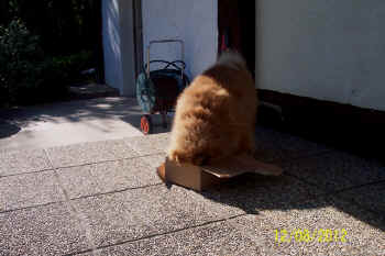 c_geburtstag5_bild16.jpg (108356 Byte)