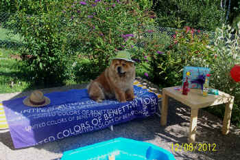 c_geburtstag5_bild3.jpg (169642 Byte)