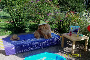 c_geburtstag5_bild4.jpg (169428 Byte)