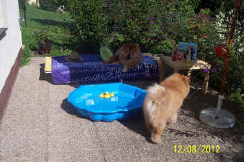 c_geburtstag5_bild5.jpg (138866 Byte)