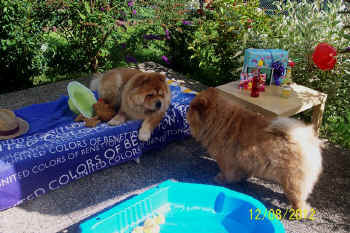 c_geburtstag5_bild6.jpg (151020 Byte)