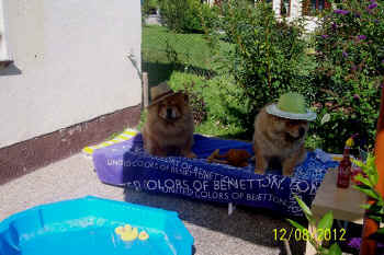 c_geburtstag5_bild7.jpg (135699 Byte)