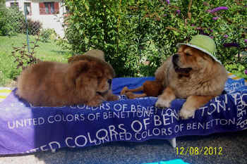 c_geburtstag5_bild9.jpg (149766 Byte)