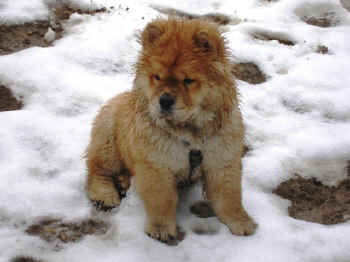 c_lebensjahr1_bild10.JPG (250937 Byte)