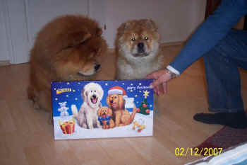 c_lebensjahr1_bild11.jpg (67841 Byte)