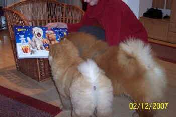 c_lebensjahr1_bild12.jpg (76636 Byte)