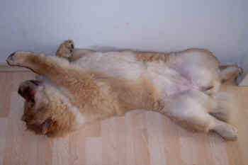 c_lebensjahr1_bild14.jpg (48048 Byte)